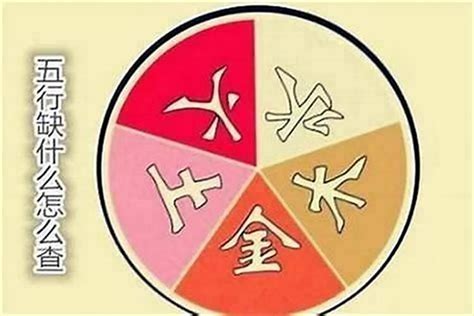 五行缺金缺木|八字五行缺木是什么意思 八字中的五行缺木怎么办